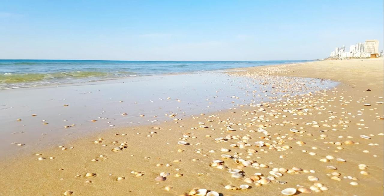 Beachfront Studio Apartment Bat Yam 412 エクステリア 写真