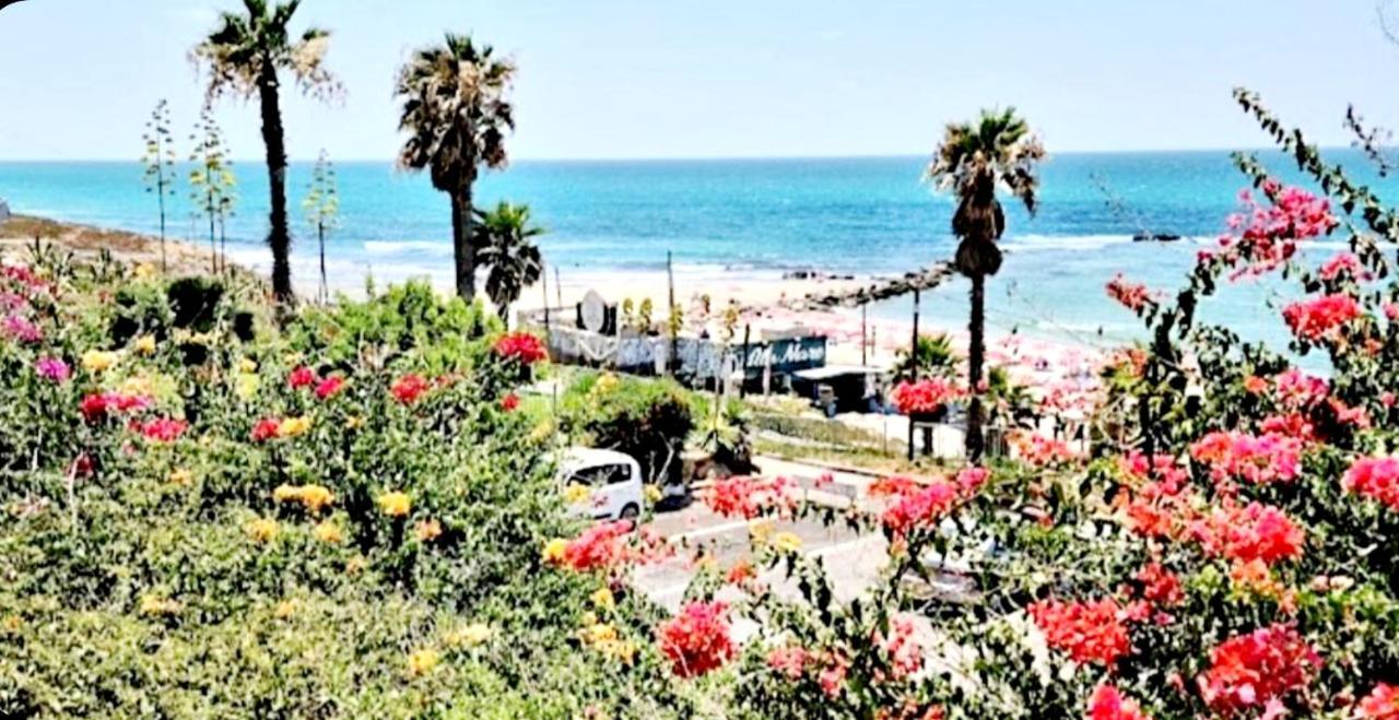 Beachfront Studio Apartment Bat Yam 412 エクステリア 写真